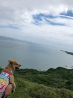 平久保崎灯台の写真・動画_image_382173