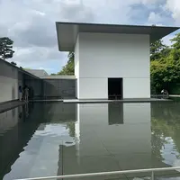 鈴木大拙館の写真・動画_image_382291