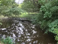 舞岡公園の写真・動画_image_382506