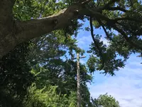 舞岡公園の写真・動画_image_382507