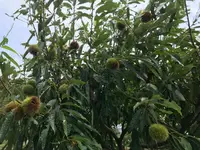 舞岡公園の写真・動画_image_382510