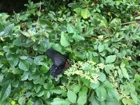 舞岡公園の写真・動画_image_382511