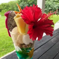 プカプカ（ＰＵＦＦＰＵＦＦ）カフェ＆レストランの写真・動画_image_382664