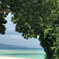 コンドイビーチの写真・動画_image_382675