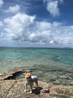 西桟橋の写真・動画_image_382694