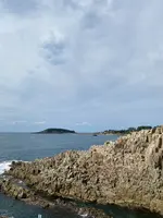 東尋坊の写真・動画_image_382863