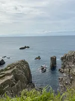 東尋坊の写真・動画_image_382864