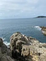 東尋坊の写真・動画_image_382867