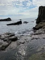 東尋坊の写真・動画_image_382868