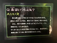 鶴岡市立加茂水族館（クラゲドリーム館）の写真・動画_image_382928