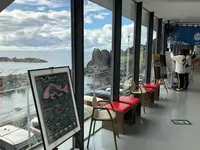 鶴岡市立加茂水族館（クラゲドリーム館）の写真・動画_image_382929