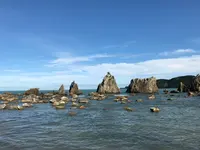 道の駅 くしもと橋杭岩の写真・動画_image_382939