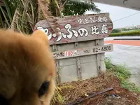 とうふの比嘉の写真・動画_image_382979