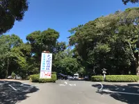 大洗磯前神社の写真・動画_image_383131