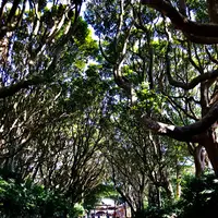 酒列磯前神社の写真・動画_image_383140