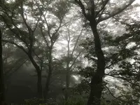 阿夫利神社 下社の写真・動画_image_383246
