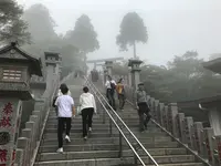 阿夫利神社 下社の写真・動画_image_383249