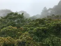 阿夫利神社 下社の写真・動画_image_383265