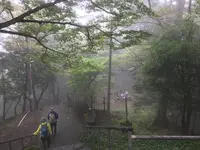 阿夫利神社 下社の写真・動画_image_383269