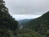 阿夫利神社 下社の写真・動画_image_383274