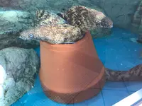 道の駅紀宝町ウミガメ公園の写真・動画_image_383309