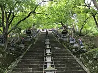 阿夫利神社 下社の写真・動画_image_383338