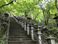 阿夫利神社 下社の写真・動画_image_383339