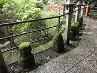 阿夫利神社 下社の写真・動画_image_383341