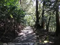 宝城坊日向薬師の写真・動画_image_383802