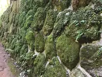 宝城坊日向薬師の写真・動画_image_383806