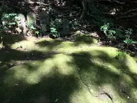 宝城坊日向薬師の写真・動画_image_383811