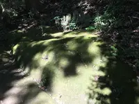 宝城坊日向薬師の写真・動画_image_383812