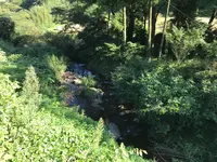 彼岸花の里の写真・動画_image_383873