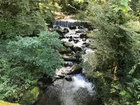 彼岸花の里の写真・動画_image_383883