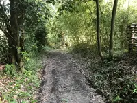 彼岸花の里の写真・動画_image_383884