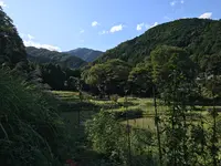 彼岸花の里の写真・動画_image_383887