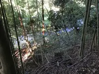 彼岸花の里の写真・動画_image_383888