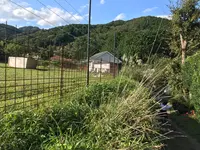彼岸花の里の写真・動画_image_383890
