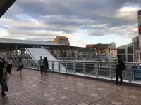横浜駅の写真・動画_image_383931