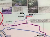 丸池様の写真・動画_image_383955