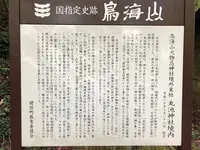 丸池様の写真・動画_image_383956