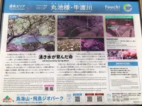 丸池様の写真・動画_image_383957