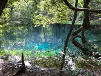 丸池様の写真・動画_image_383970