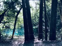 丸池様の写真・動画_image_383971