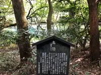丸池様の写真・動画_image_383972