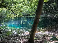 丸池様の写真・動画_image_383975