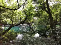 丸池様の写真・動画_image_383977