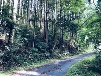 丸池様の写真・動画_image_383978