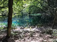 丸池様の写真・動画_image_383979