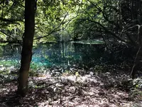 丸池様の写真・動画_image_383981